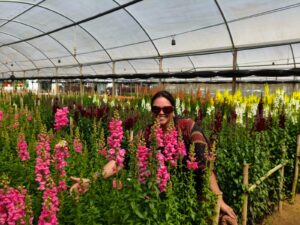 Monica bento de souza