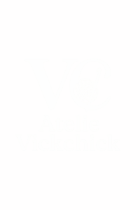 Virgínia schmuck santana