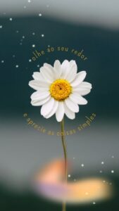 Valdirene Rodrigues Alves Gomes