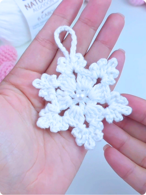 Floco de Neve | Crochê
