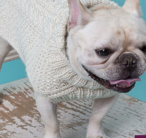 Suéter para Cachorro | Crochê
