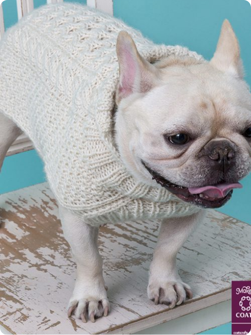 Suéter para Cachorro | Crochê