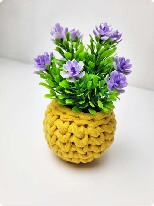 Mini Cachepô | Crochê