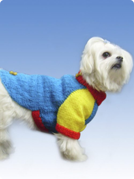 Roupinha de Cachorro | Tricô