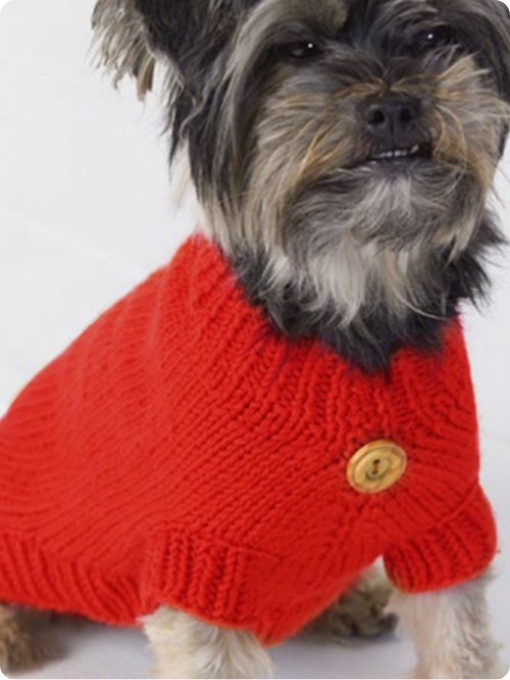 Suéter para Cachorro | Tricô